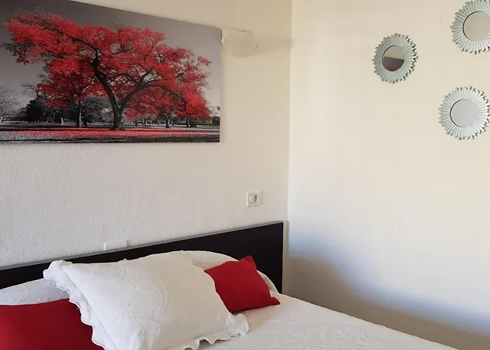 Estudio Ana Puerto de la Cruz